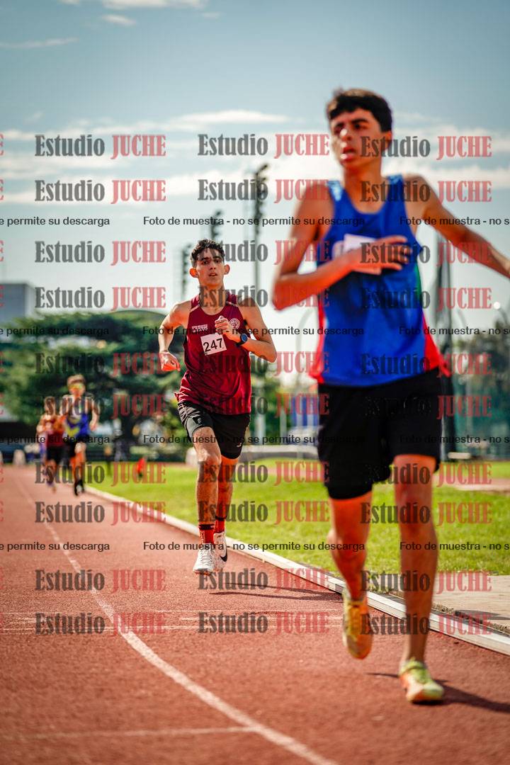 Fotos de los 800 m llanos de varones