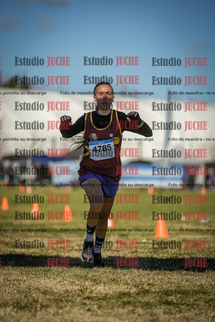 Fotos de las llegadas