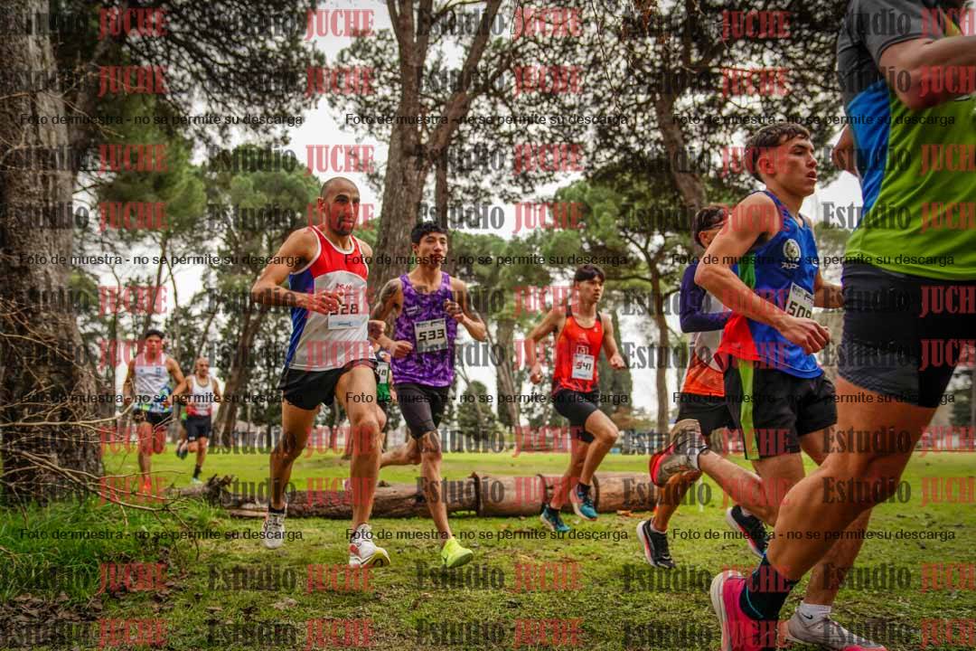 Fotos en el circuito