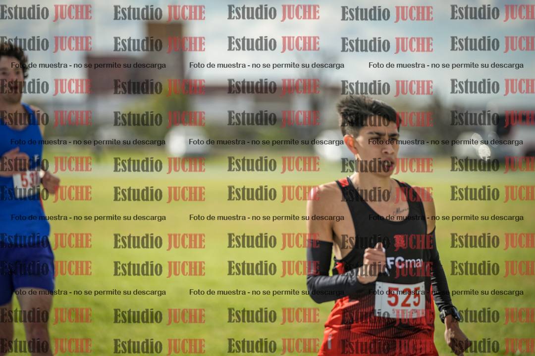 Fotos de los 5000 m llanos de varones
