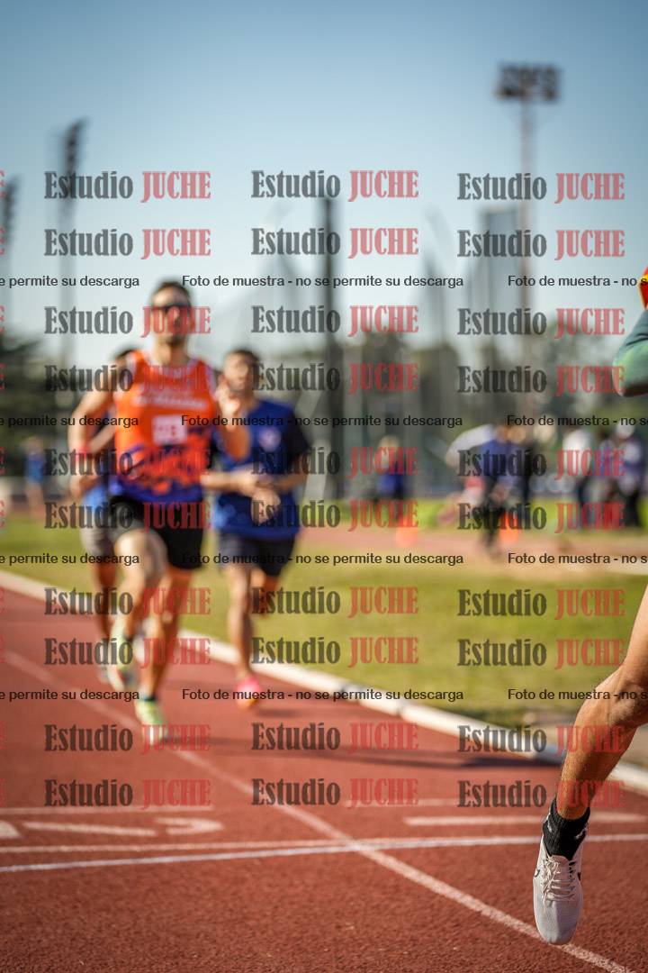 Fotos de los 800 m llanos de varones