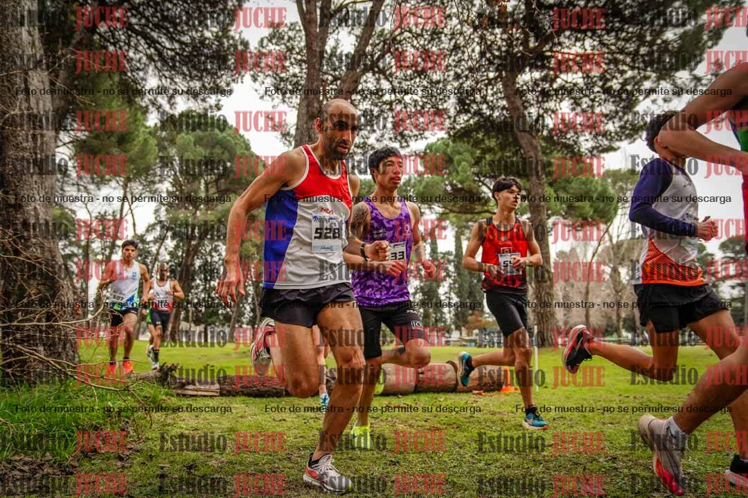 Fotos en el circuito