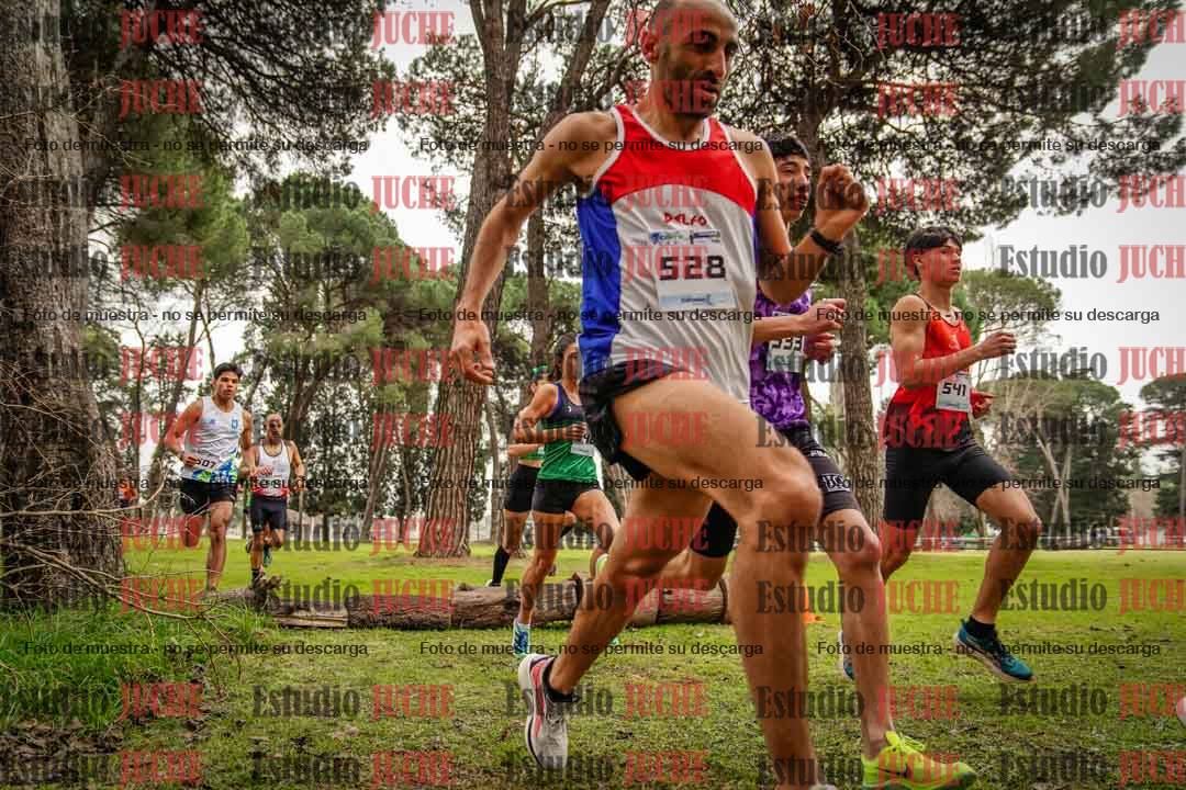Fotos en el circuito