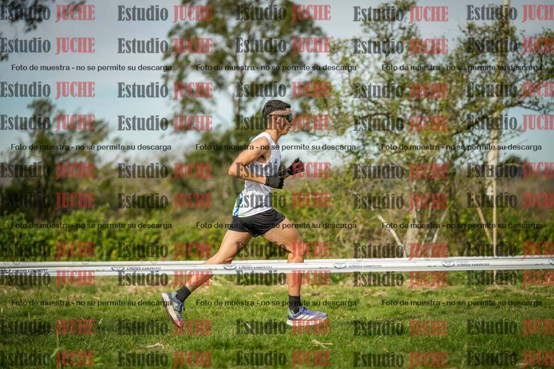 Fotos en el circuito