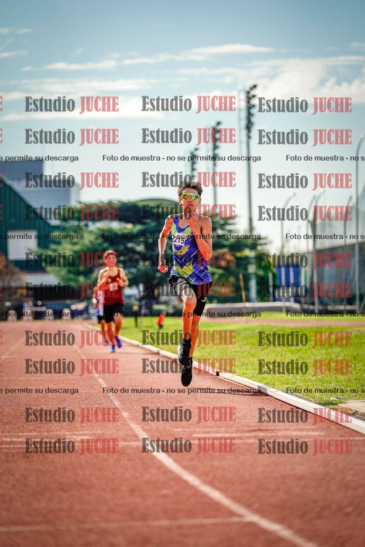 Fotos de los 800 m llanos de varones