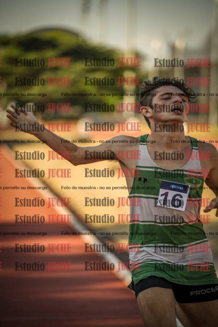 Fotos de los 800 m llanos de varones