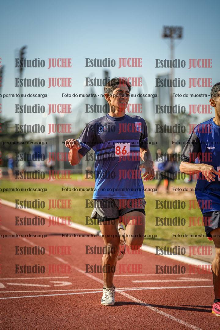 Fotos de los 800 m llanos de varones