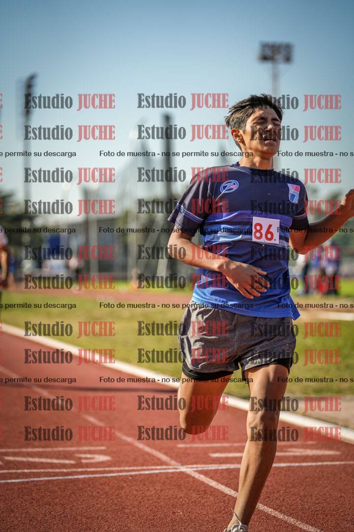 Fotos de los 800 m llanos de varones