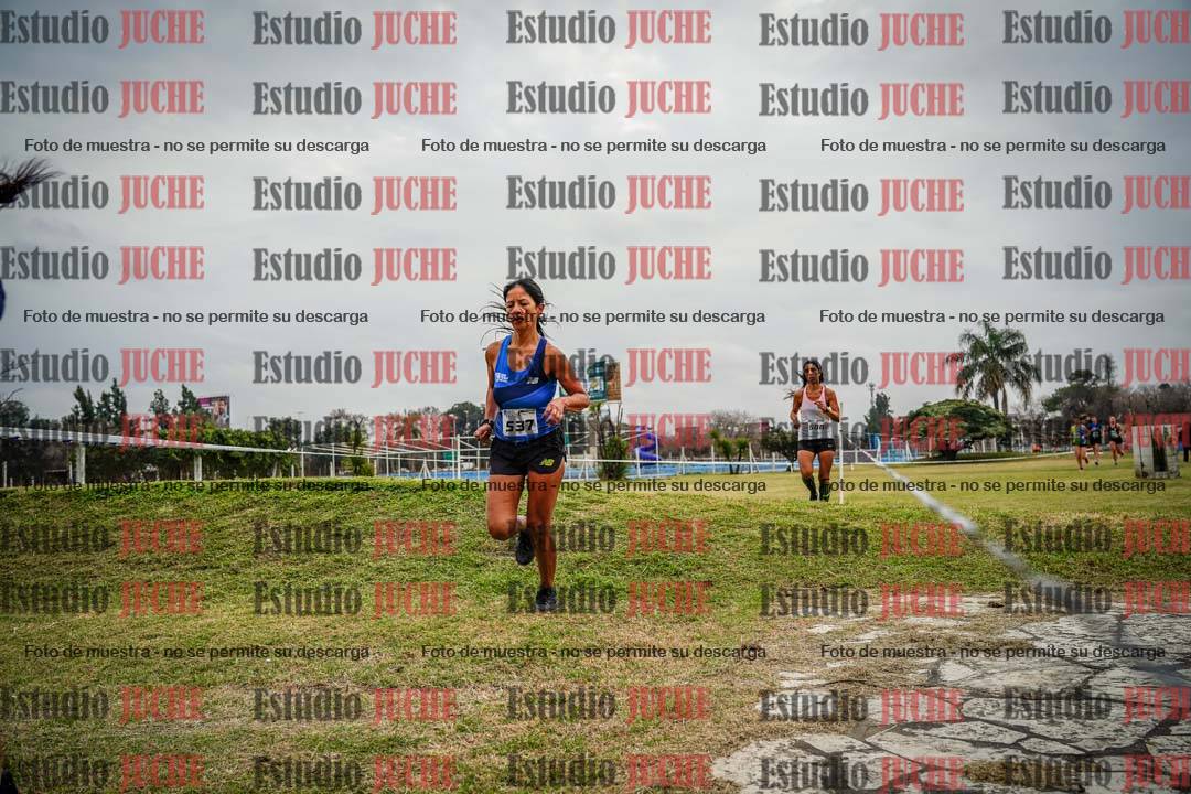 Fotos en el circuito