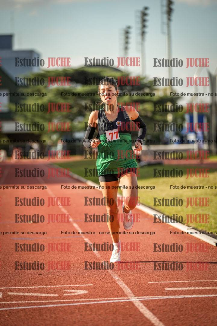 Fotos de los 1500 m llanos de mujeres