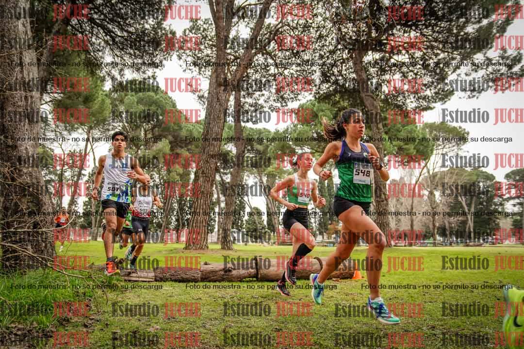 Fotos en el circuito