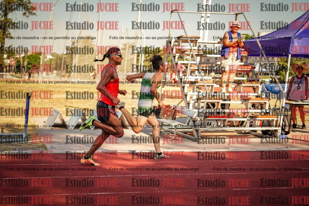 Fotos de los 800 m llanos de varones