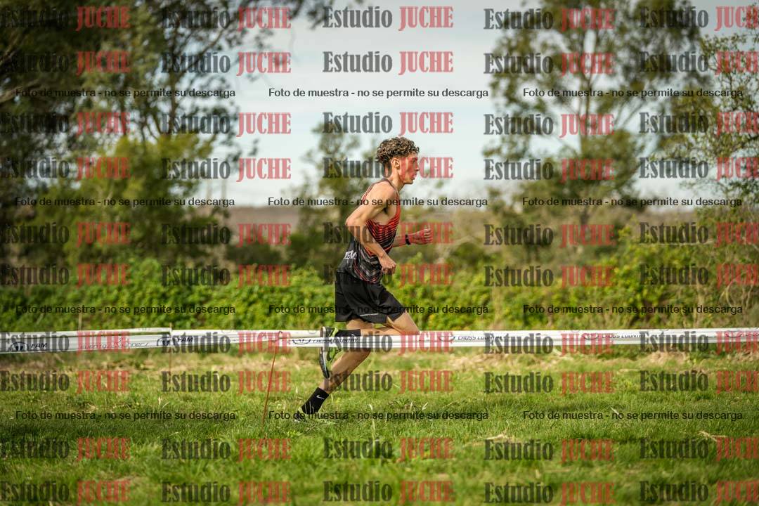 Fotos en el circuito