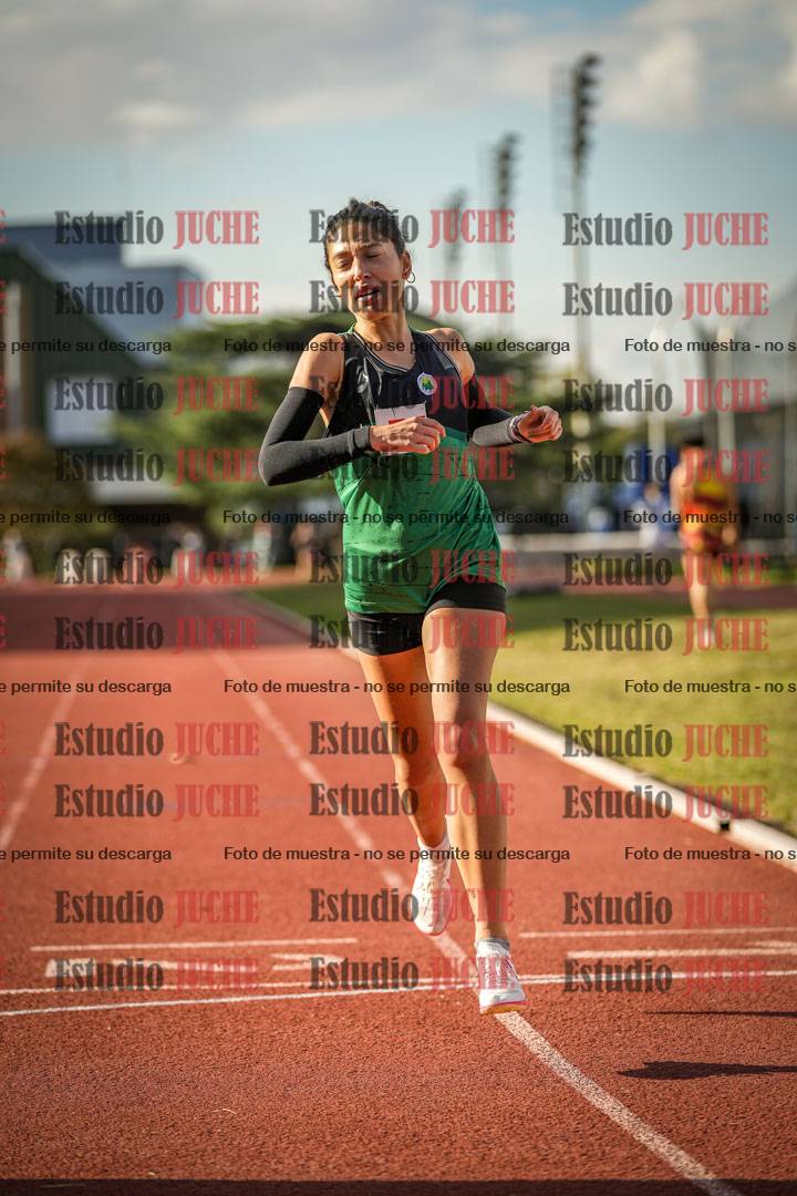 Fotos de los 1500 m llanos de mujeres