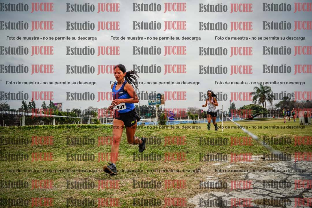 Fotos en el circuito