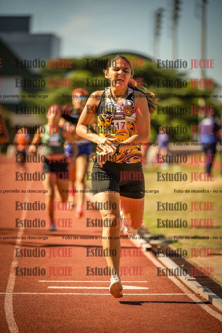 Fotos de los 800 m llanos de mujeres