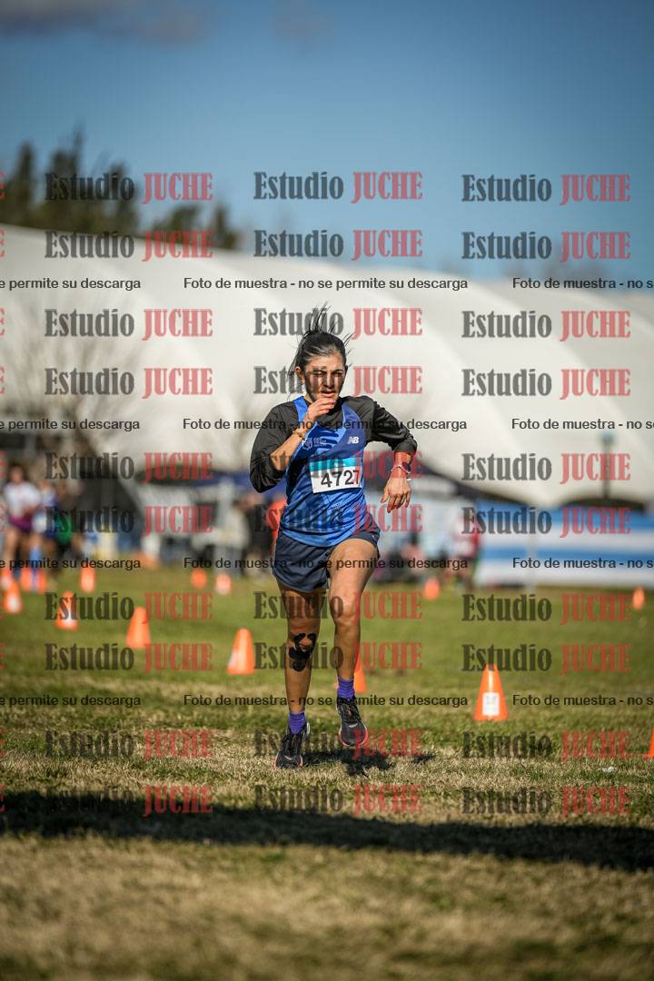Fotos de las llegadas