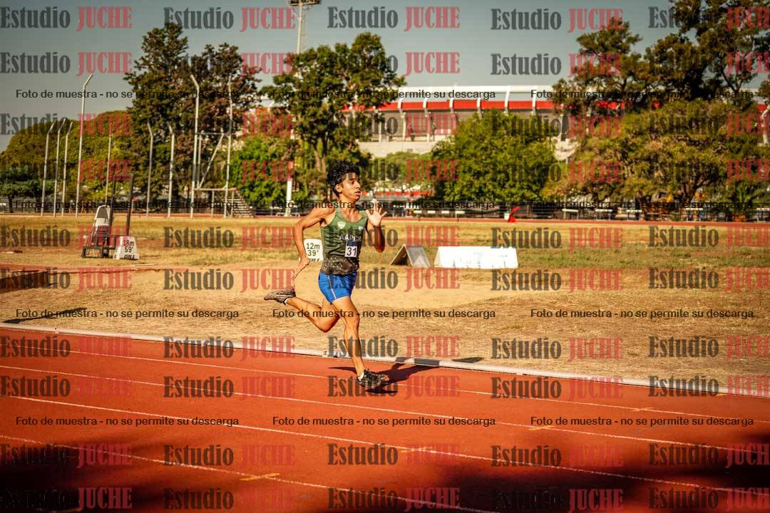 Fotos de los 800 m llanos de varones