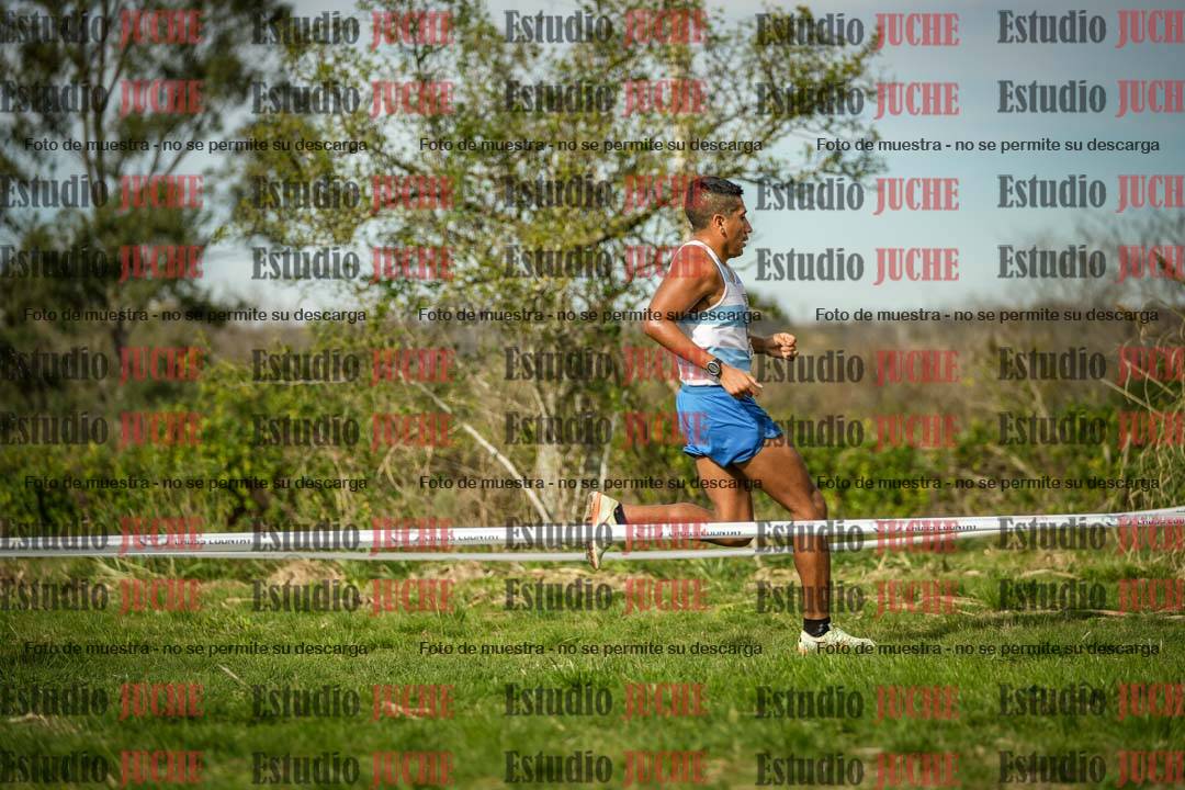 Fotos en el circuito