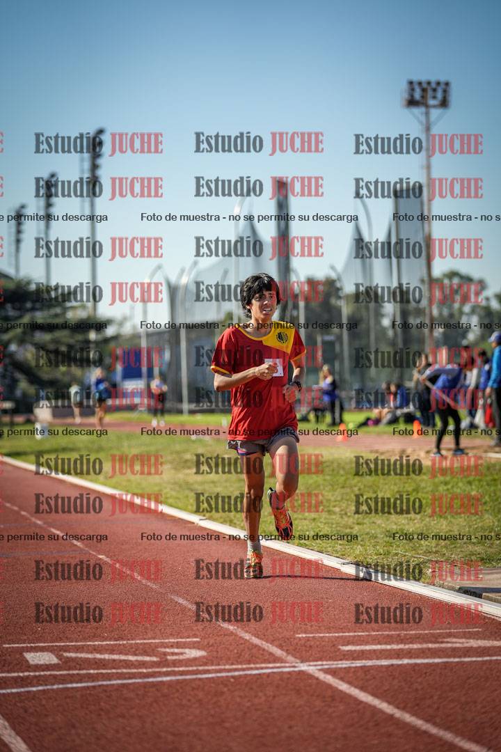 Fotos de los 800 m llanos de varones