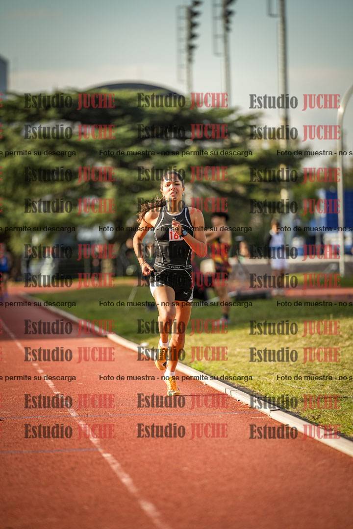 Fotos de los 1500 m llanos de mujeres