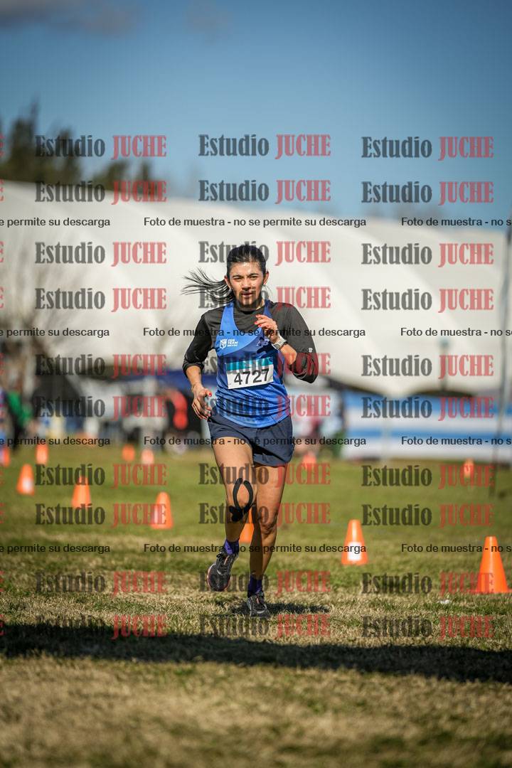 Fotos de las llegadas