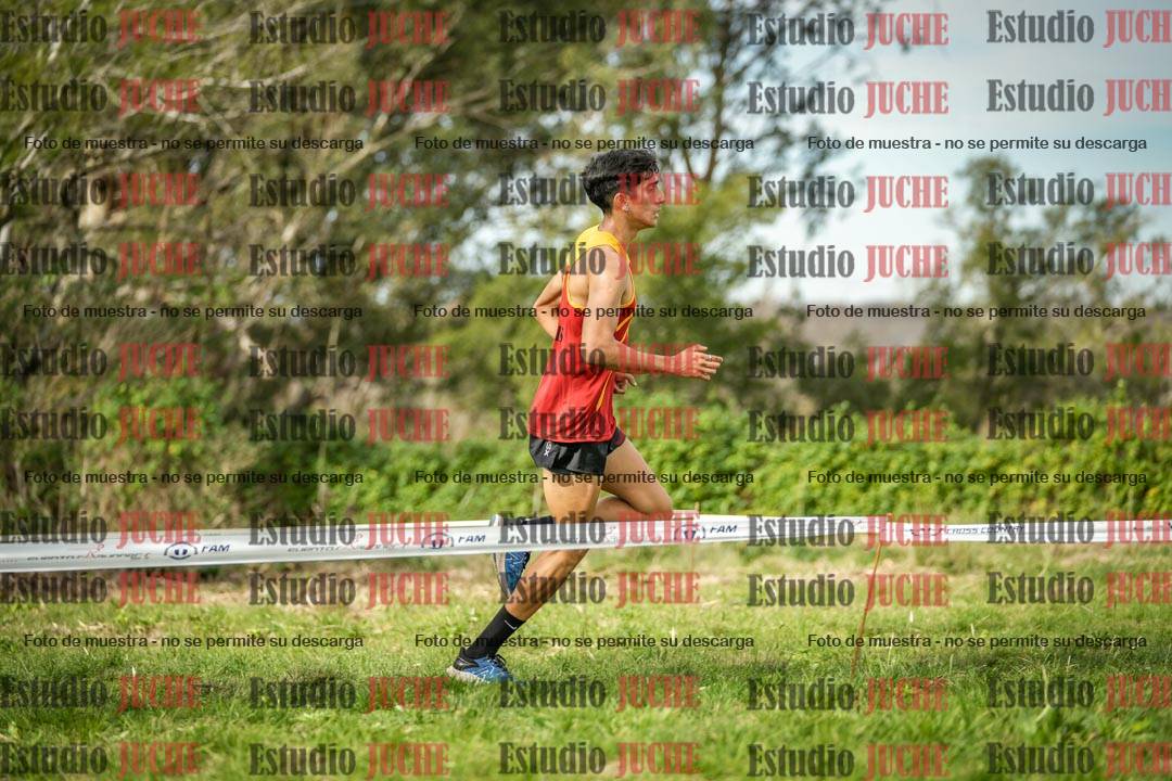 Fotos en el circuito