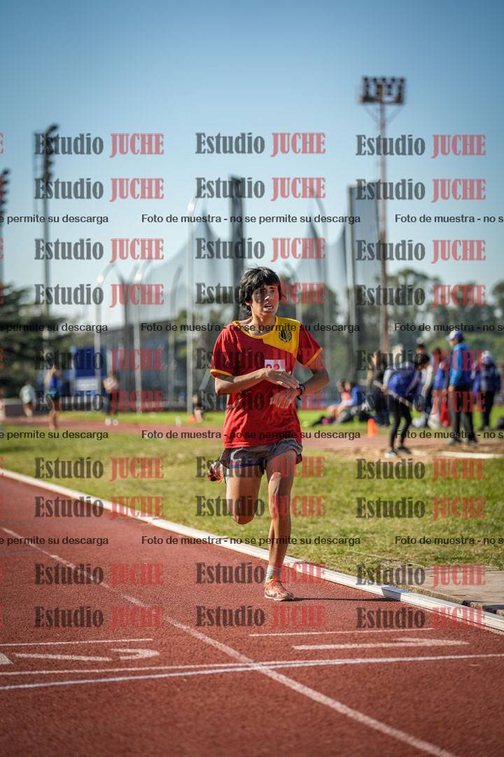 Fotos de los 800 m llanos de varones