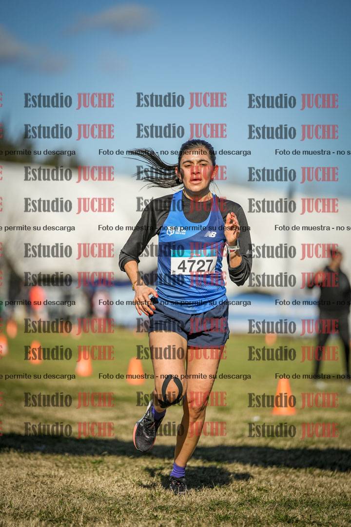 Fotos de las llegadas