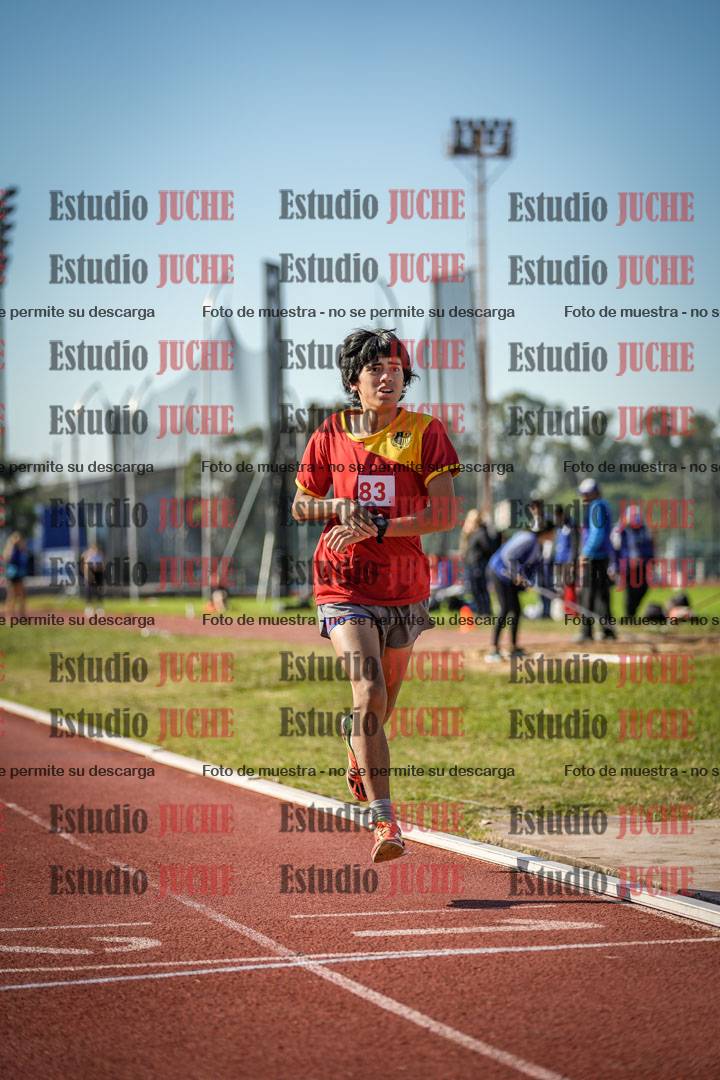 Fotos de los 800 m llanos de varones