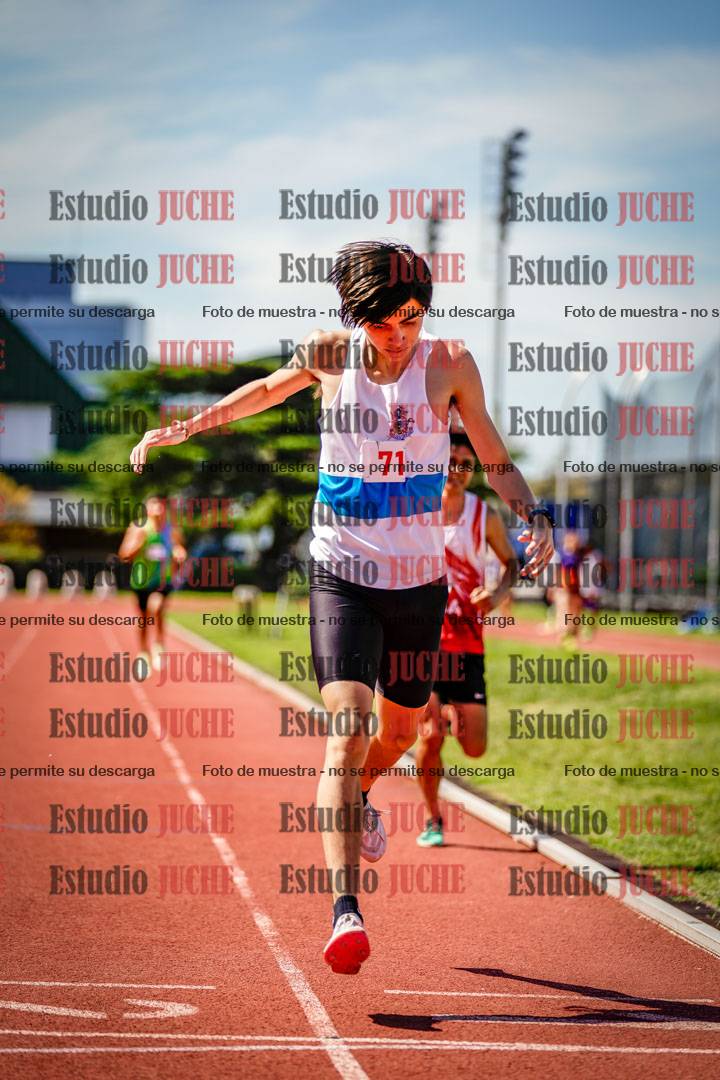 Fotos de los 800 m llanos de varones