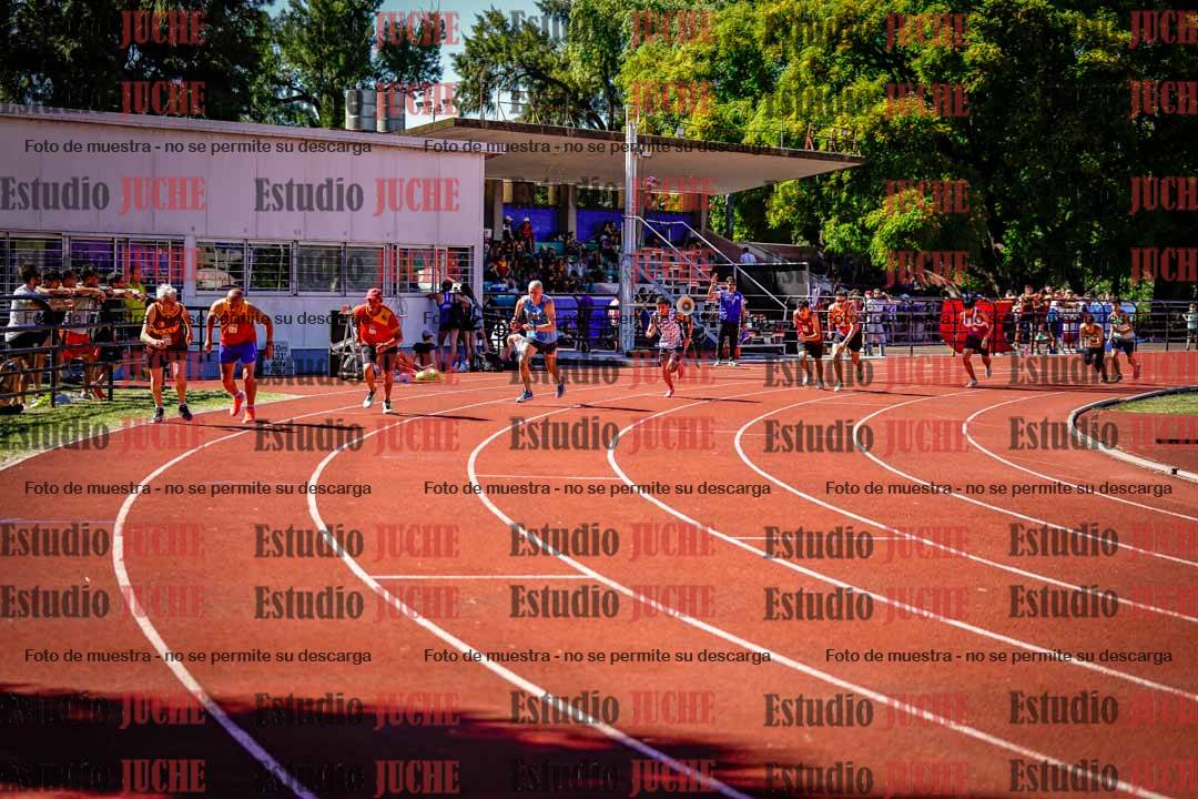 Fotos de los 800 m llanos de varones