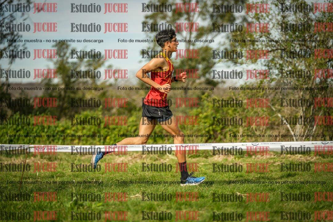Fotos en el circuito
