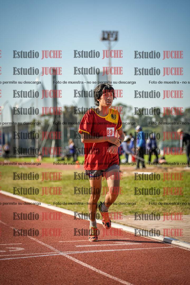 Fotos de los 800 m llanos de varones