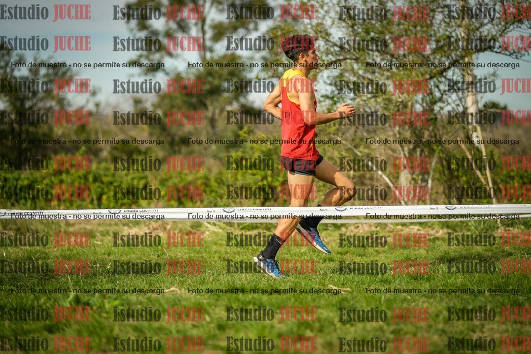 Fotos en el circuito