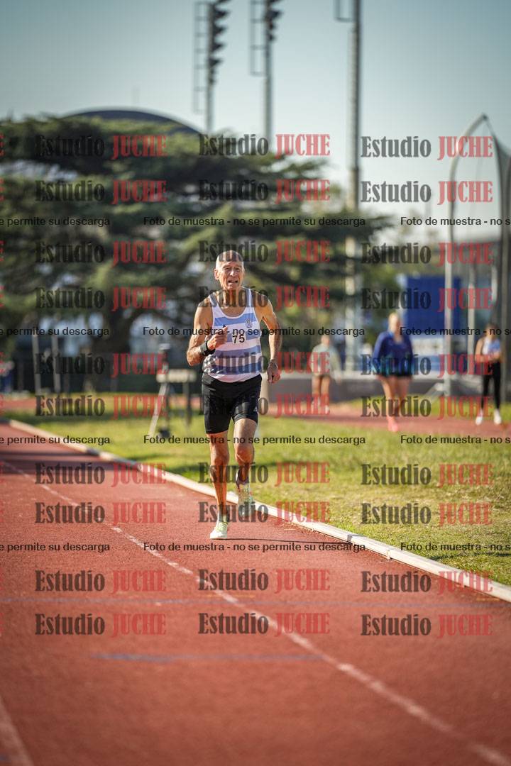 Fotos de los 800 m llanos de varones