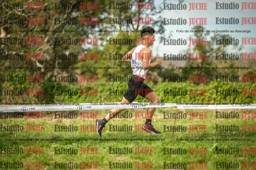 Fotos en el circuito