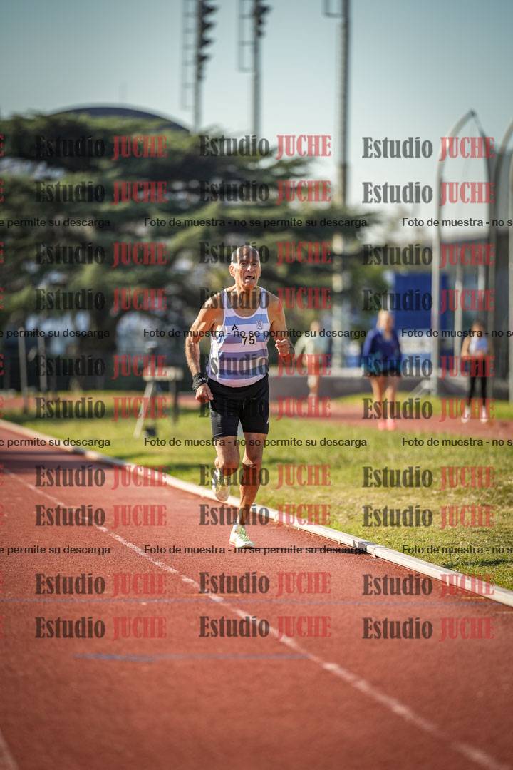 Fotos de los 800 m llanos de varones