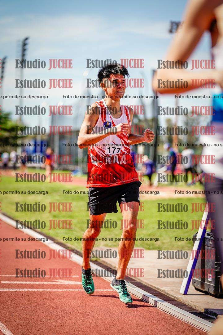 Fotos de los 800 m llanos de varones