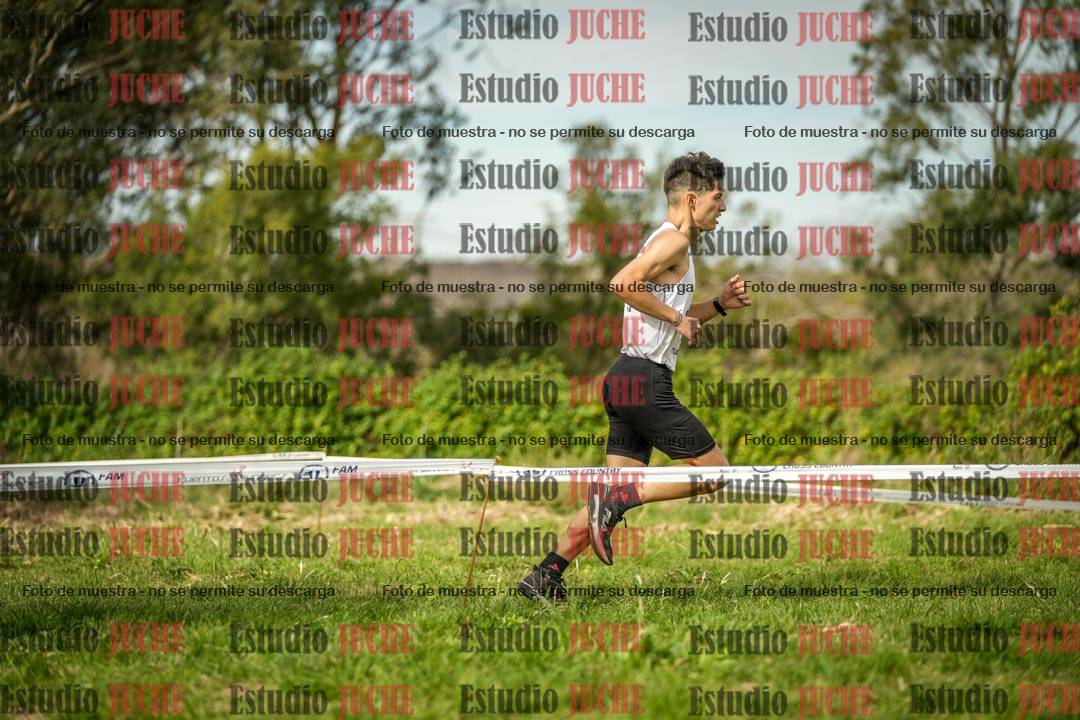 Fotos en el circuito