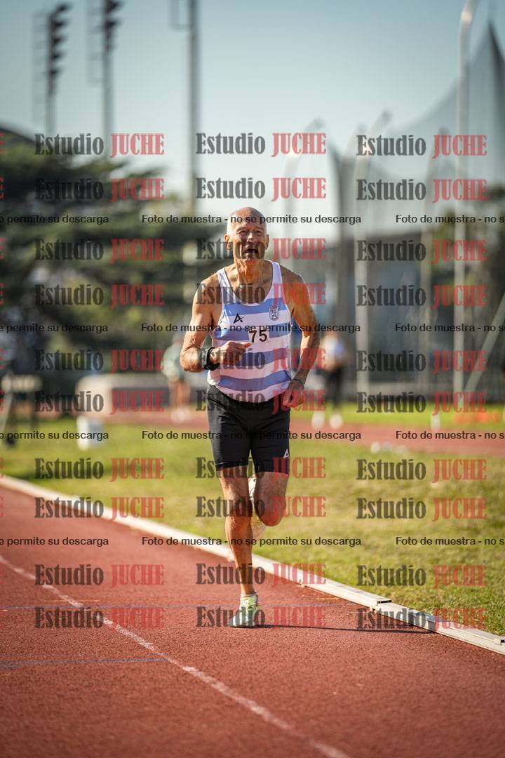 Fotos de los 800 m llanos de varones