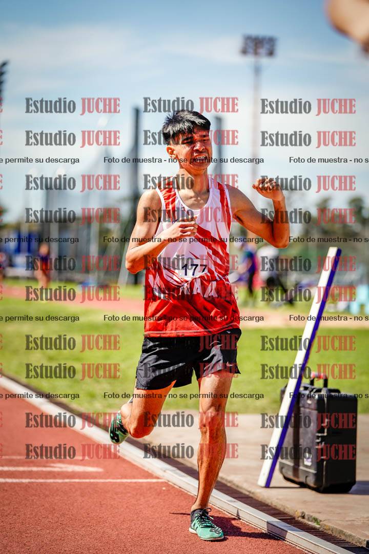 Fotos de los 800 m llanos de varones
