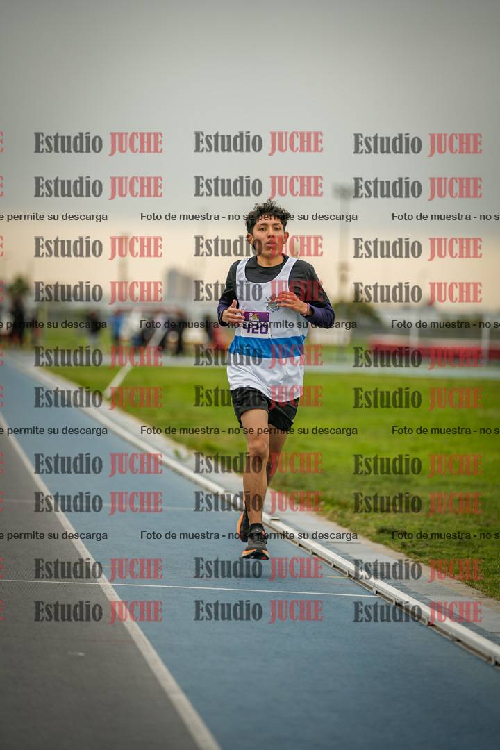 Fotos de los 3000 m llanos de varones - U17 (incluye la marcha atlética)