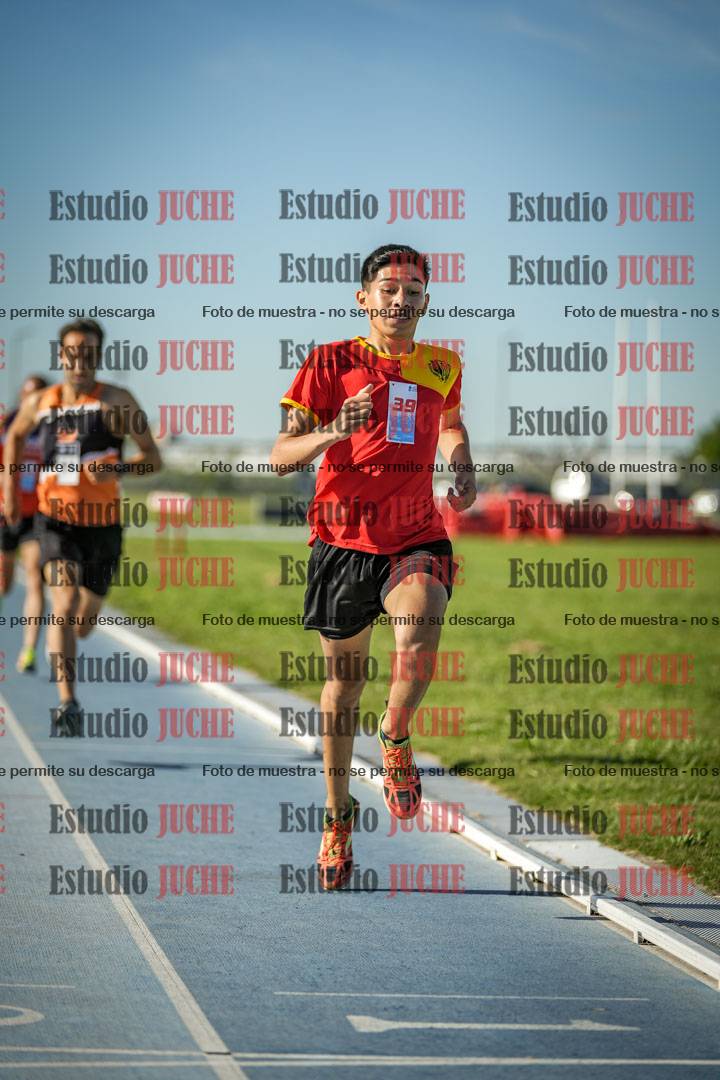 Fotos de los 1500 m llanos de varones