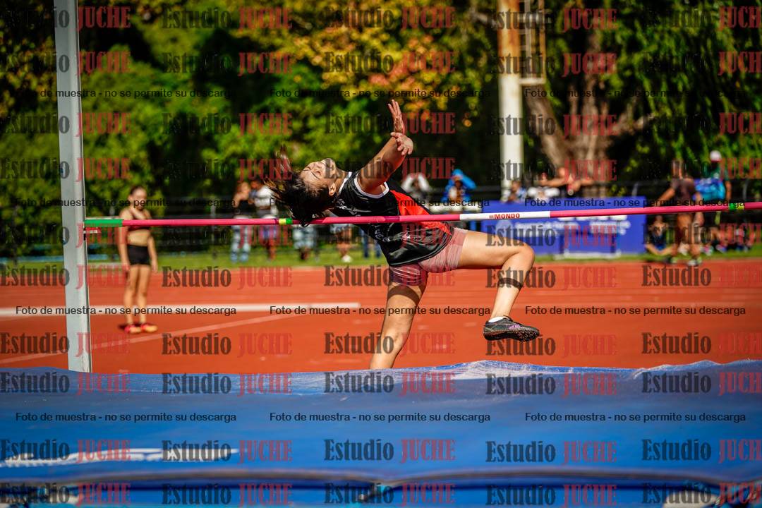 Fotos del salto en alto de mujeres