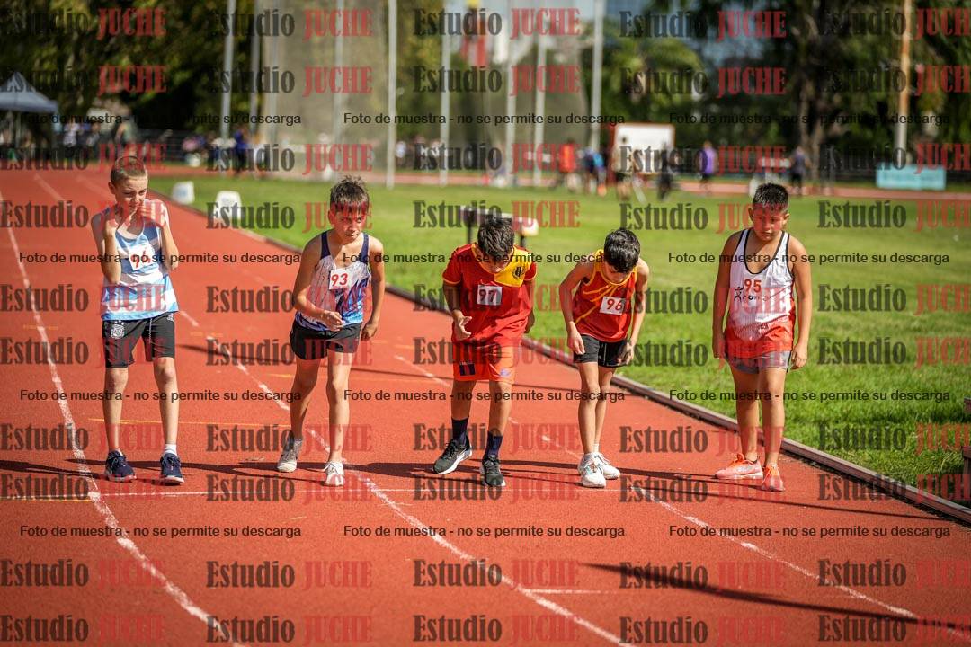 Fotos de los 1000 m llanos de varones
