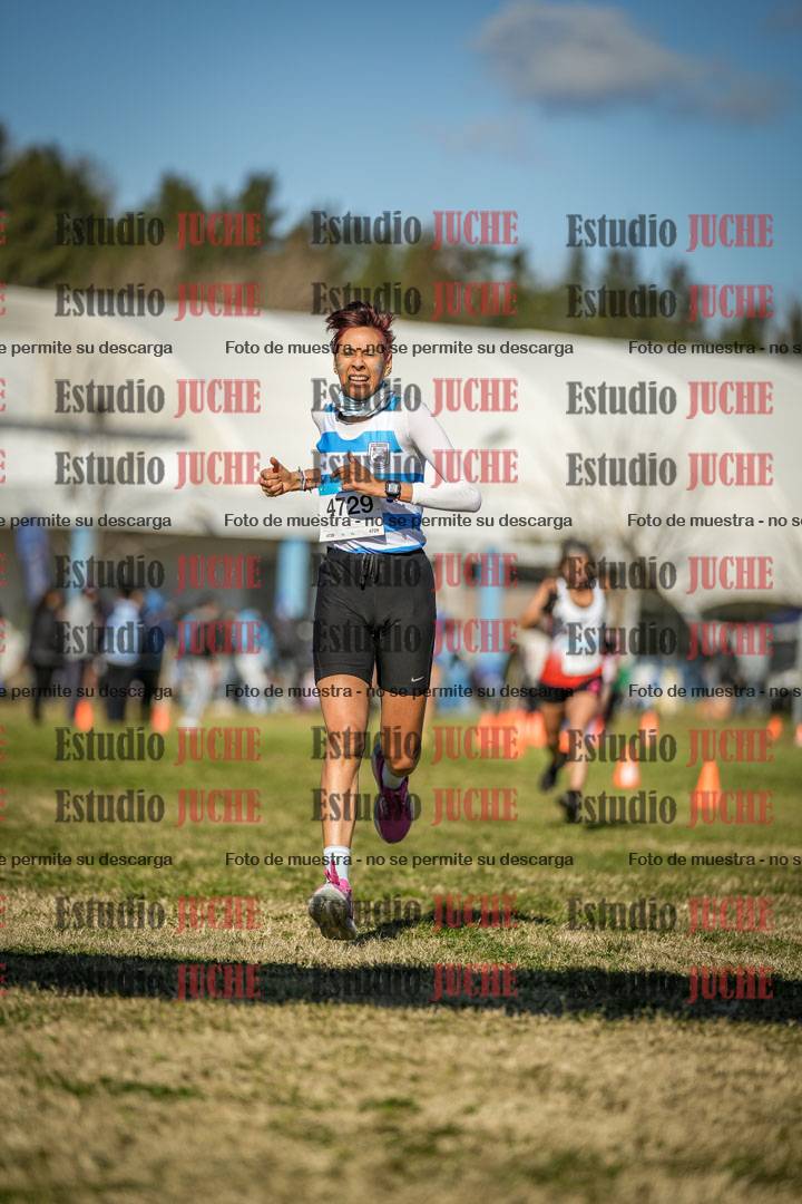 Fotos de las llegadas