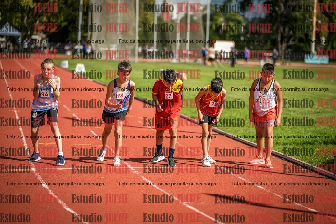Fotos de los 1000 m llanos de varones