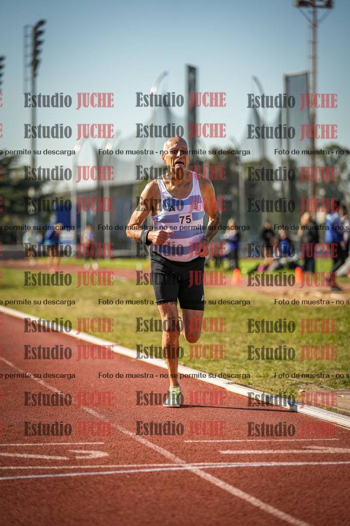 Fotos de los 800 m llanos de varones
