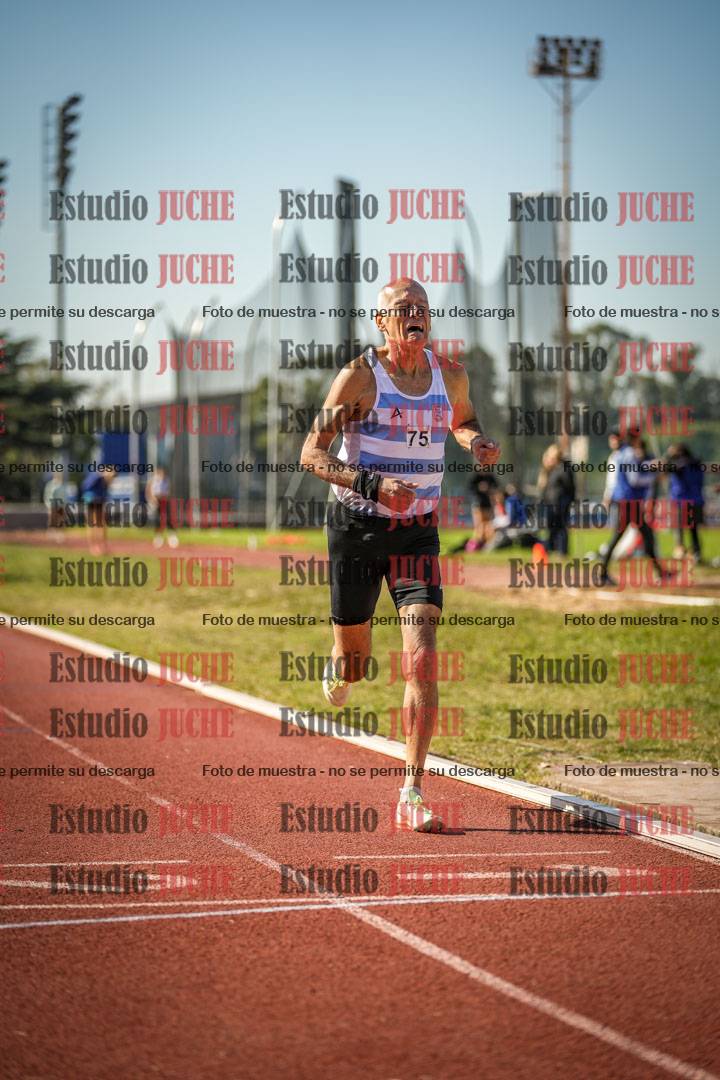 Fotos de los 800 m llanos de varones